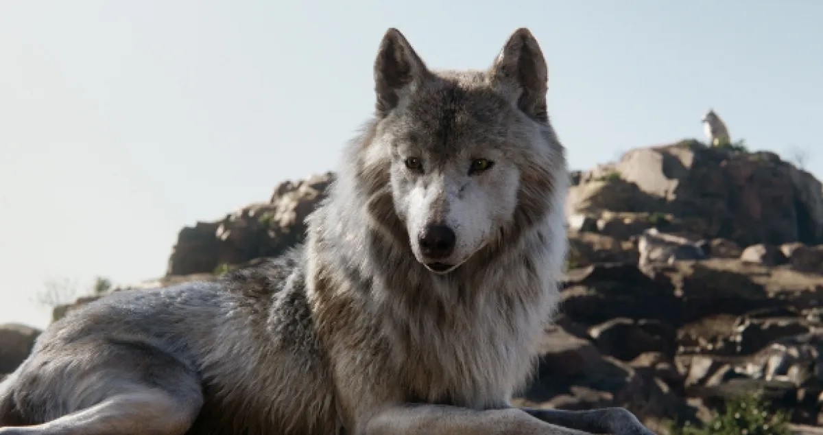 Kniha džungle (The Jungle Book), 2016 - fotogaléria