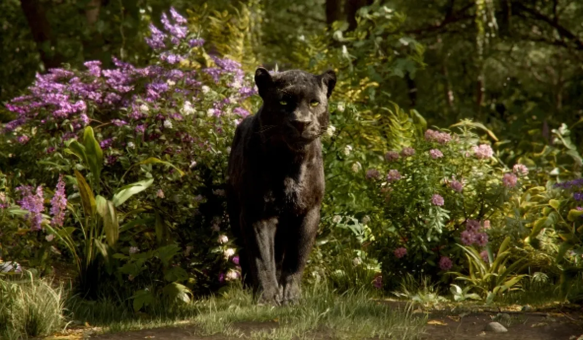Kniha džungle (The Jungle Book), 2016 - fotogaléria