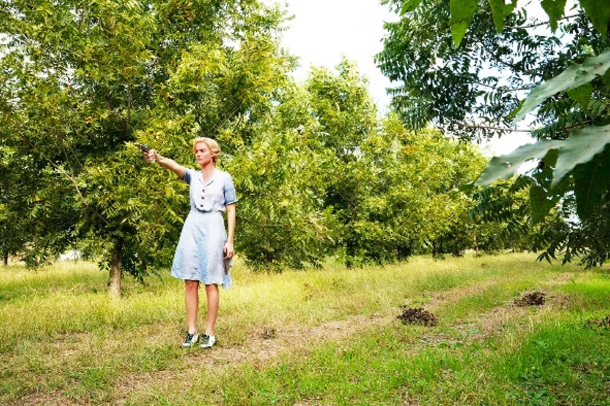 Krajina snů (Dreamland), 2019 - fotogaléria