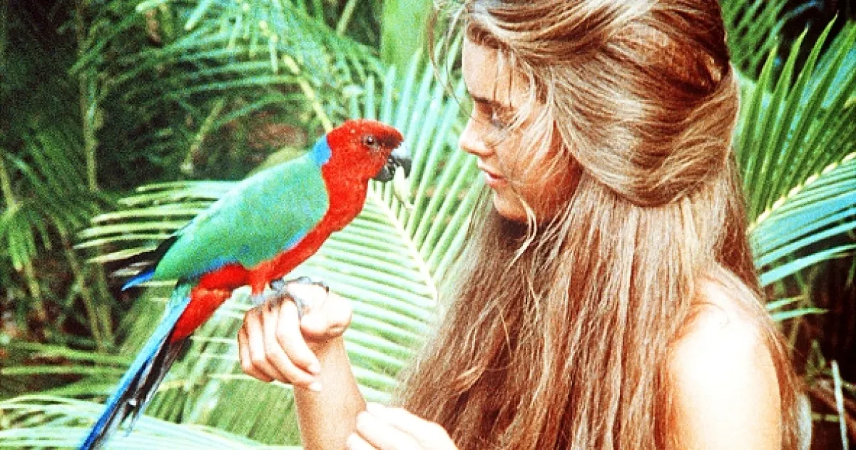 Modrá lagúna (The Blue Lagoon), 1980 - fotogaléria