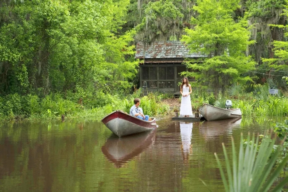 Kde zpívají raci (Where the Crawdads Sing), 2022 - fotogaléria