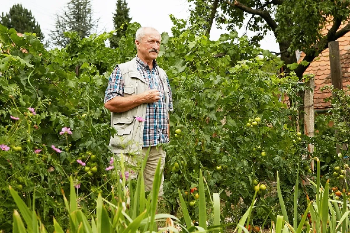 Vinaři, 2014 - fotogaléria