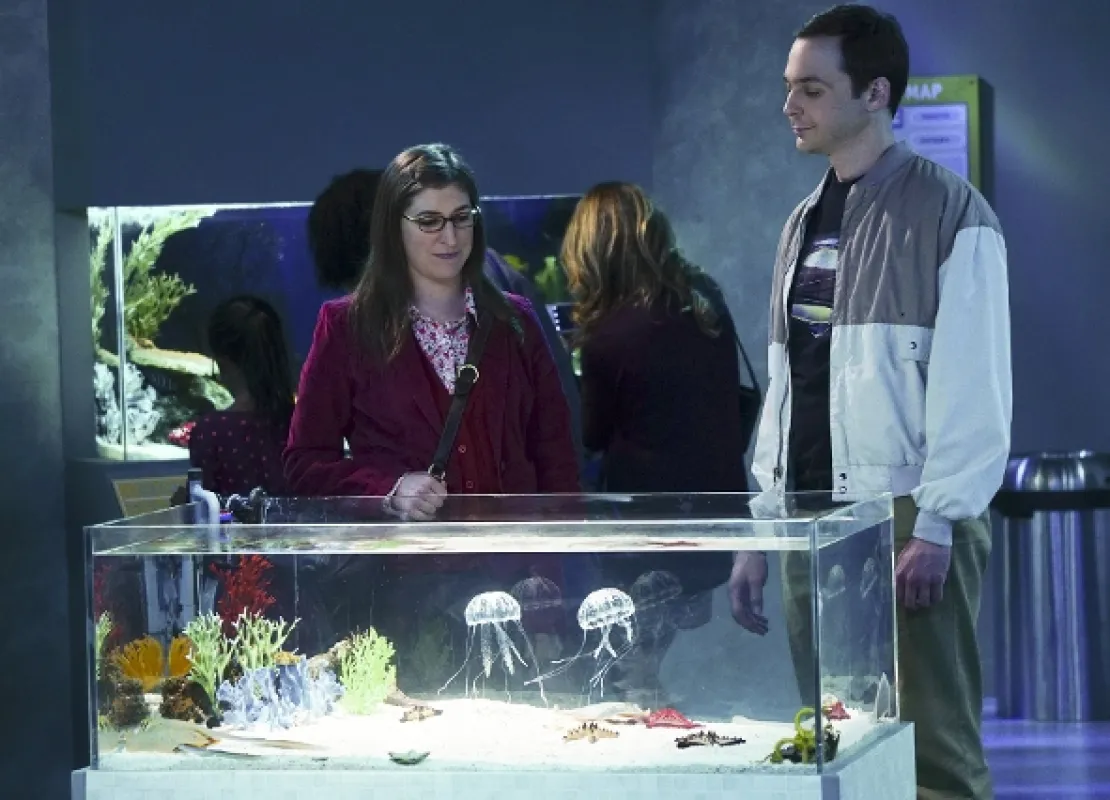 Teorie velkého třesku (Big Bang Theory, The IX), 2015 - fotogaléria