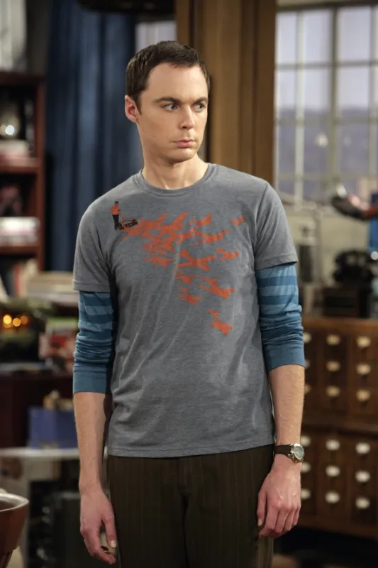 Teorie velkého třesku (Big Bang Theory, The II), 2008 - fotogaléria