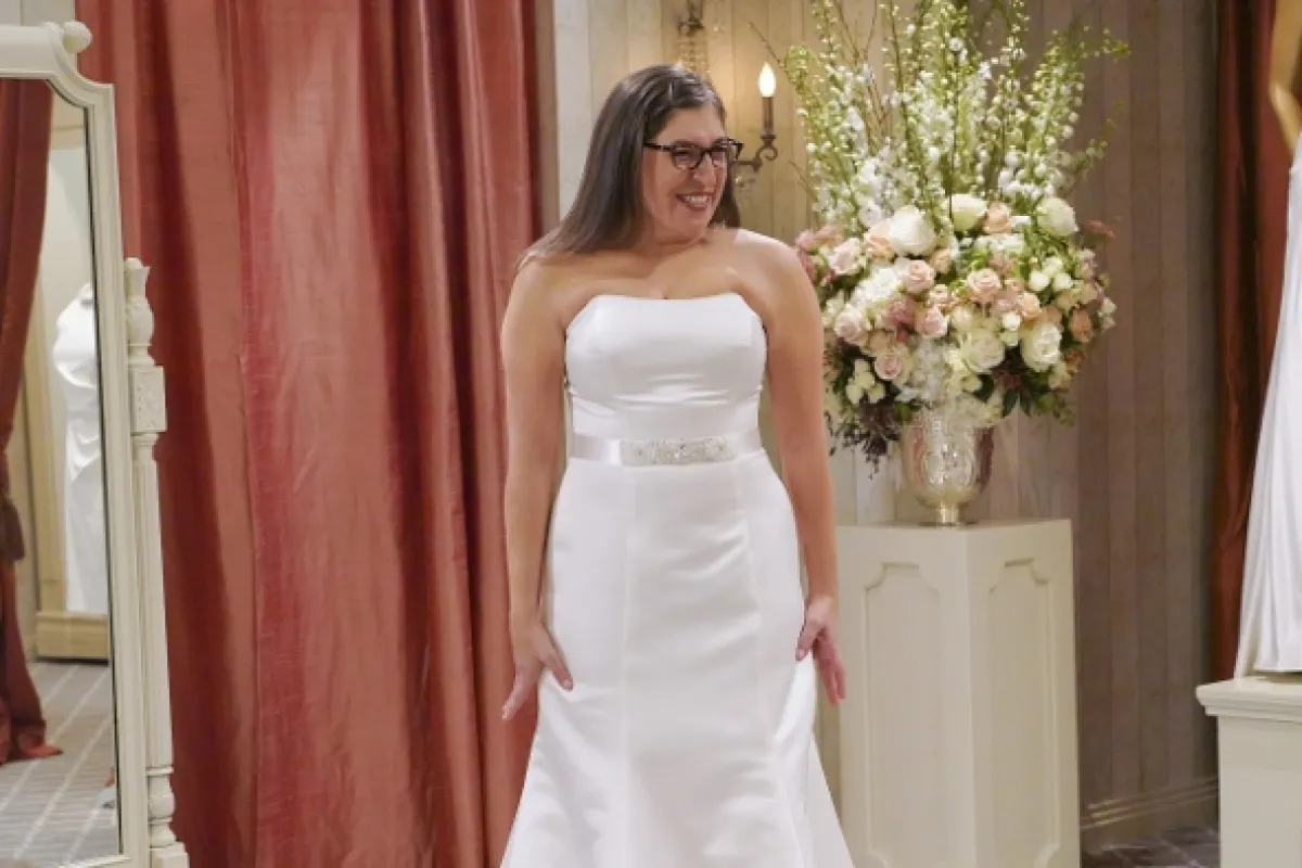 Teorie velkého třesku (The Big Bang Theory X: The Cognition Regeneration), 2017 - fotogaléria