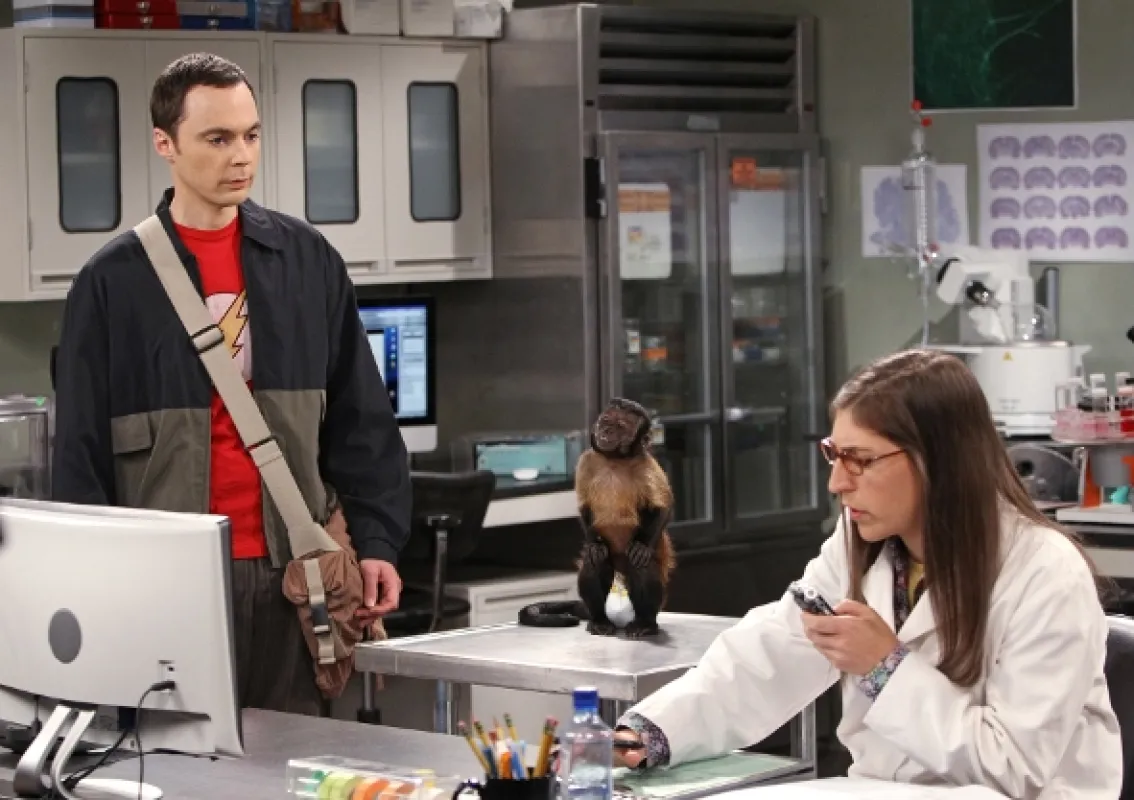 Teorie velkého třesku (Big Bang Theory, The VII), 2013 - fotogaléria