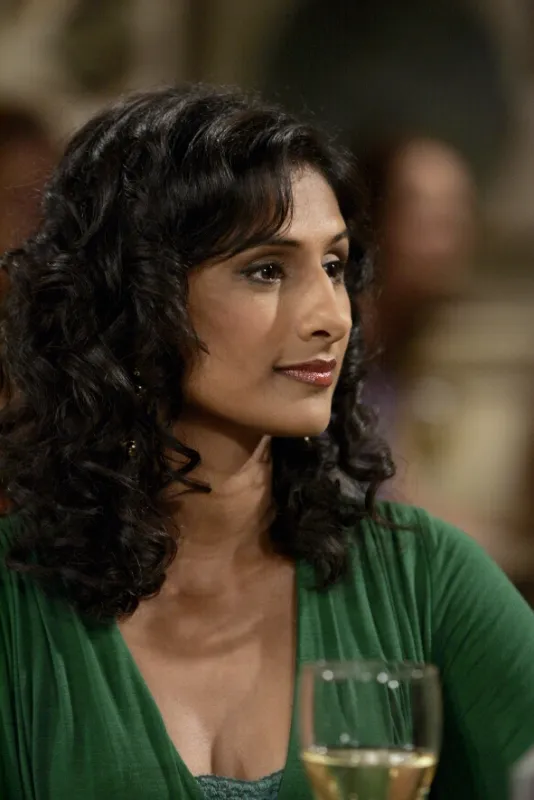 Teorie velkého třesku (Big Bang Theory, The), 2007 - fotogaléria