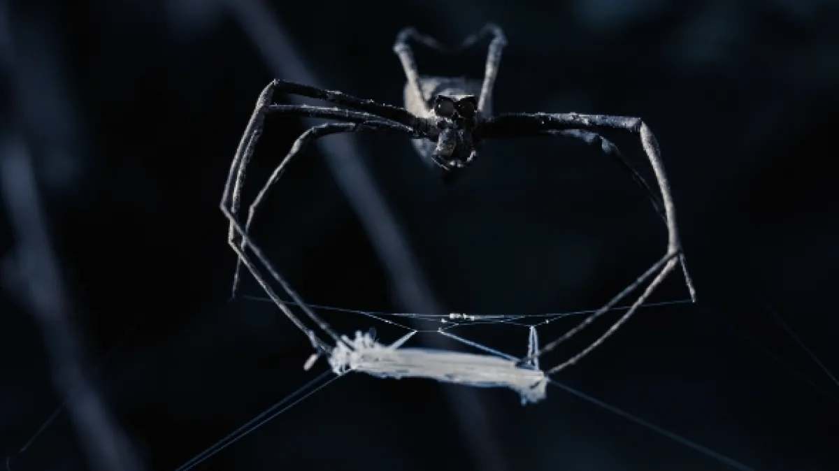 Proč je máme rádi (Reasons to Love), 2022 - fotogaléria