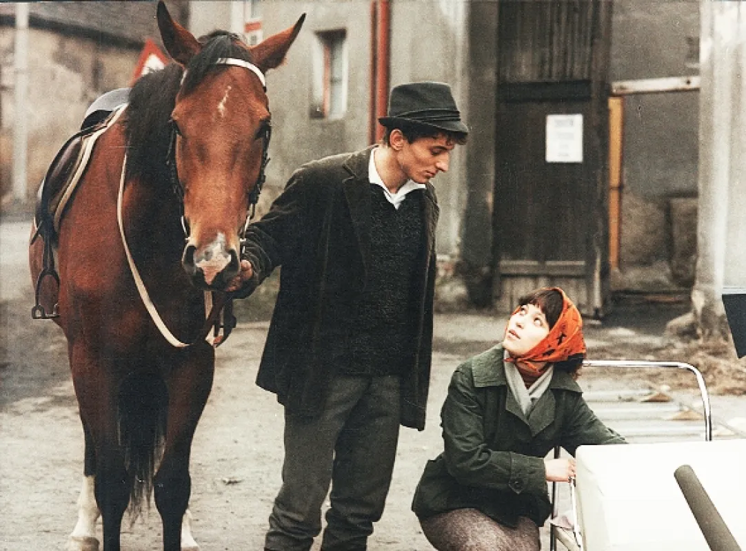 Sestřičky (THE NURSES), 1983 - fotogaléria