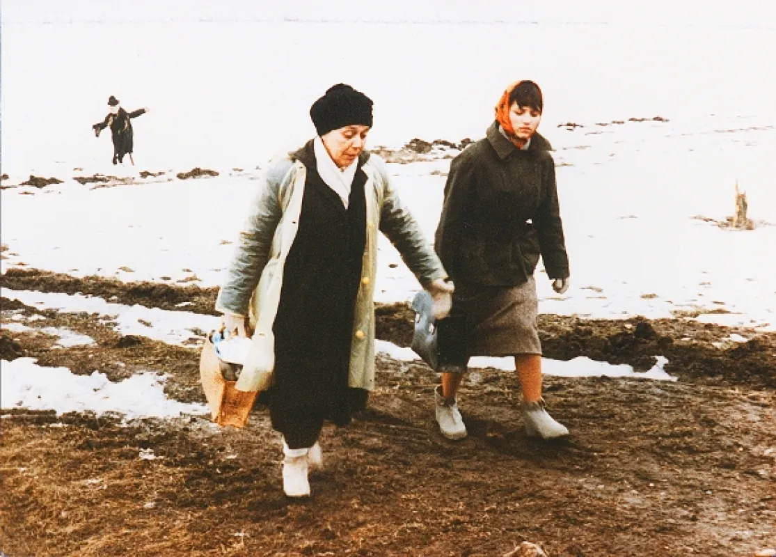 Sestřičky (THE NURSES), 1983 - fotogaléria