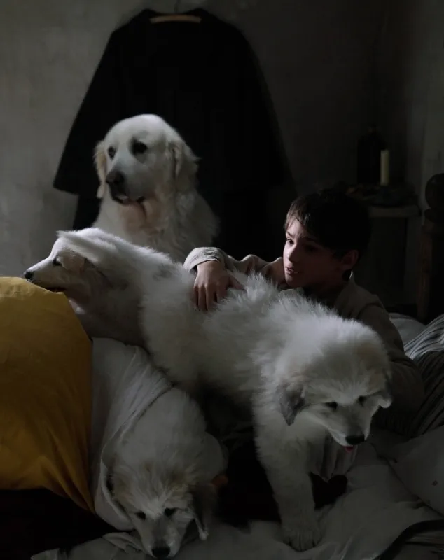 Bella a Sebastián 3: Přátelé navždy (Belle et Sébastien 3, le dernier chapitre), 2017 - fotogaléria