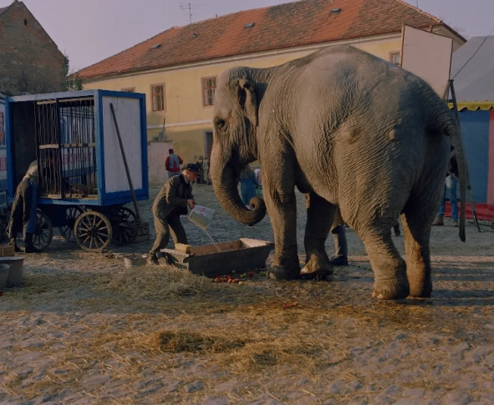 Bylo nás pět, 1994 - fotogaléria