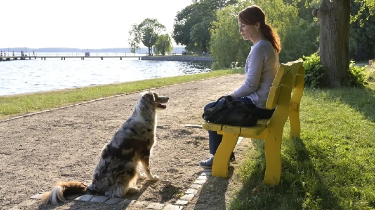 Katy a já (Käthe und Ich), 2019 - fotogaléria