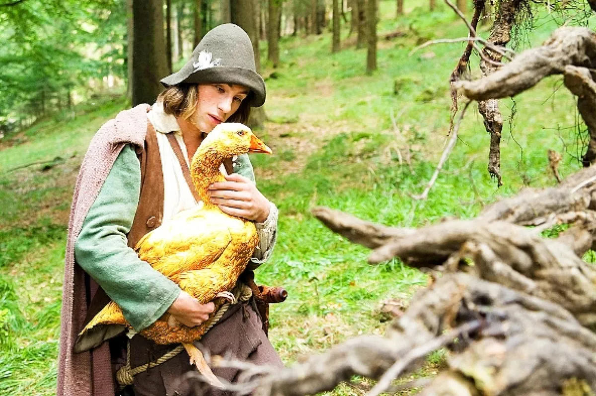 Zlatá hus (Die goldene Gans), 2013 - fotogaléria