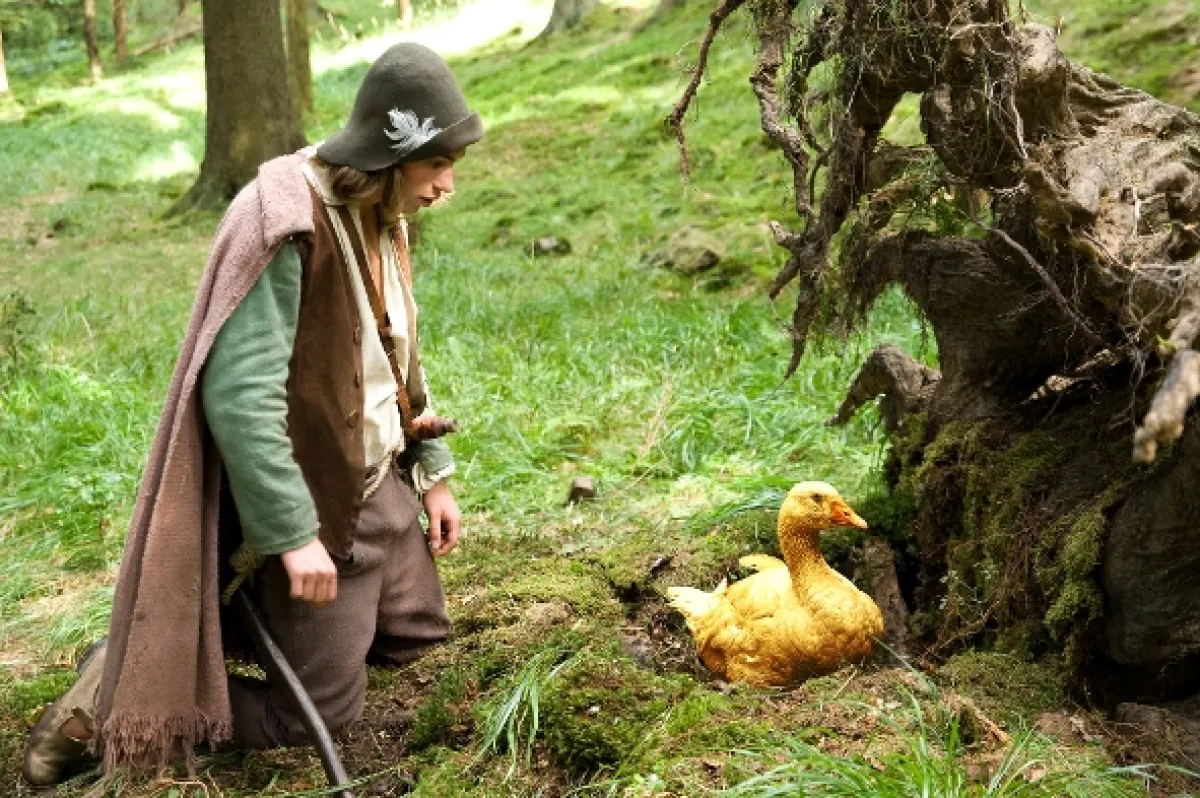 Zlatá hus (Die goldene Gans), 2013 - fotogaléria