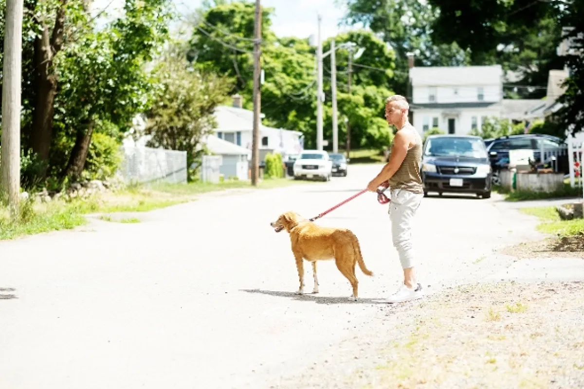 Osudová láska (Frankie Meets Jack), 2023 - fotogaléria