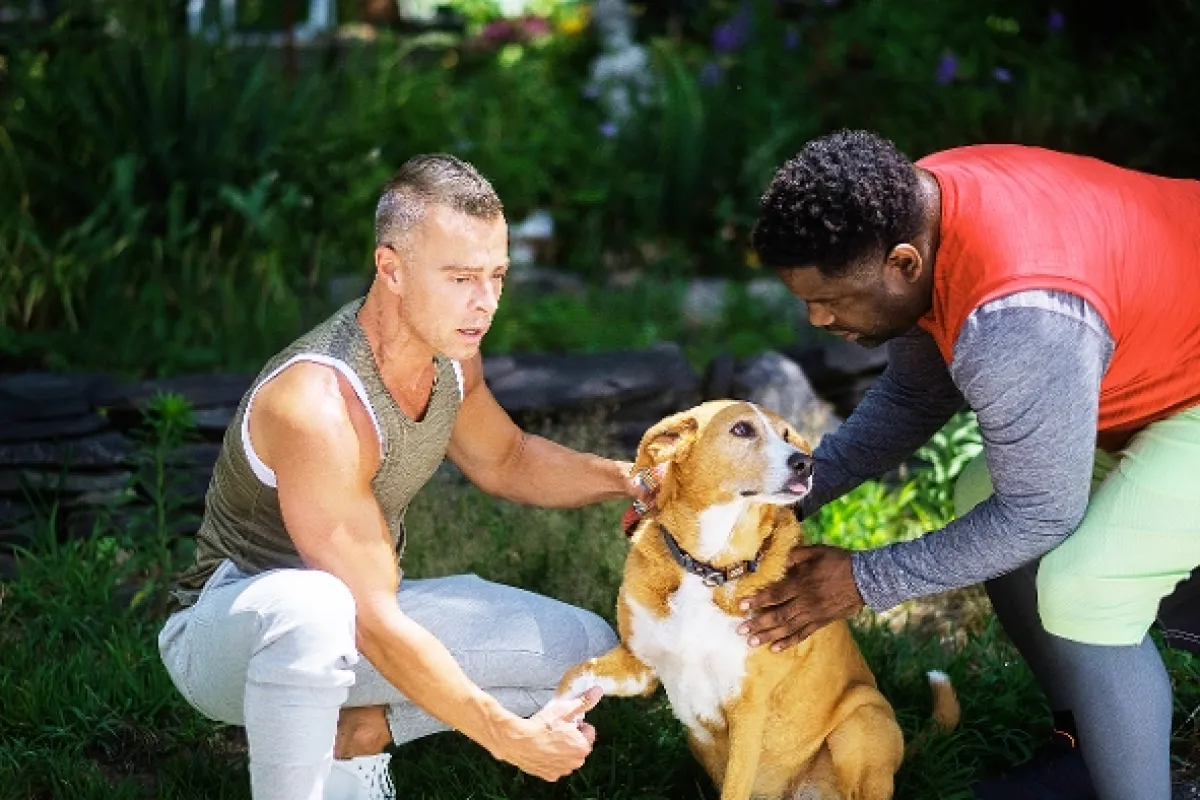 Osudová láska (Frankie Meets Jack), 2023 - fotogaléria