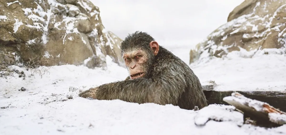 Vojna o planétu opíc (War for the Planet of the Apes), 2017 - fotogaléria