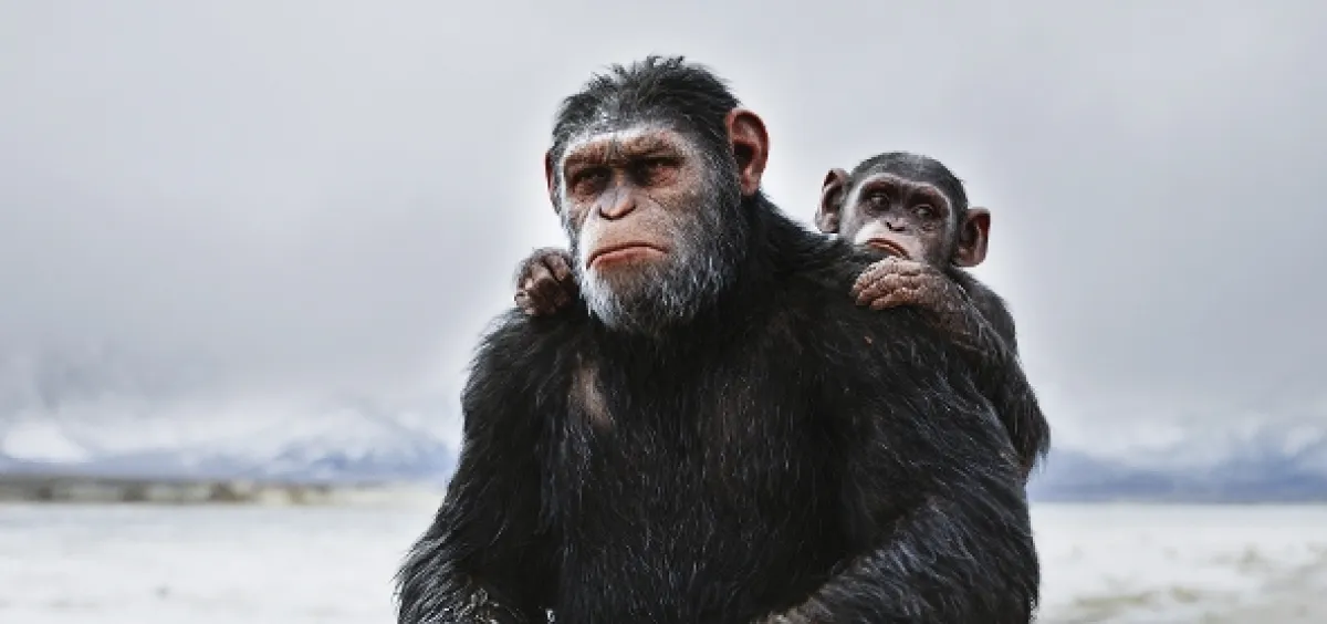 Vojna o planétu opíc (War for the Planet of the Apes), 2017 - fotogaléria