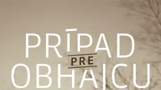 Prípad pre obhajcu