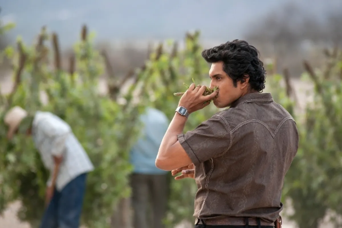 Narcos: Mexiko, 2018 - fotogaléria