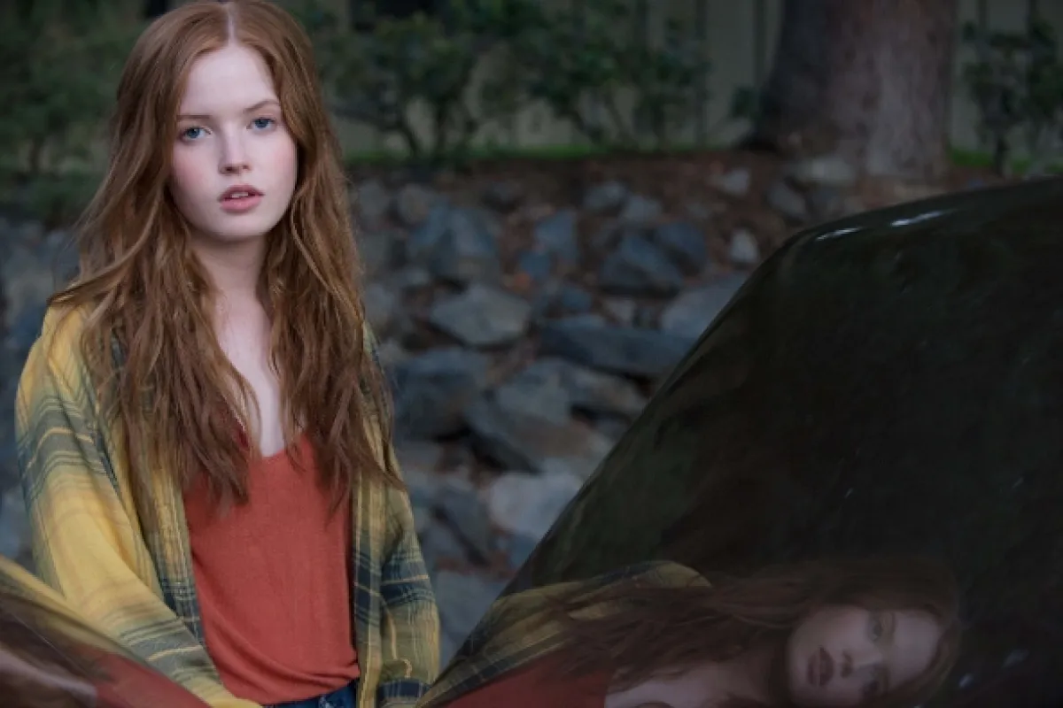 Nočné zvieratá (Nocturnal Animals), 2016 - fotogaléria