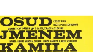 Osud jménem Kamila