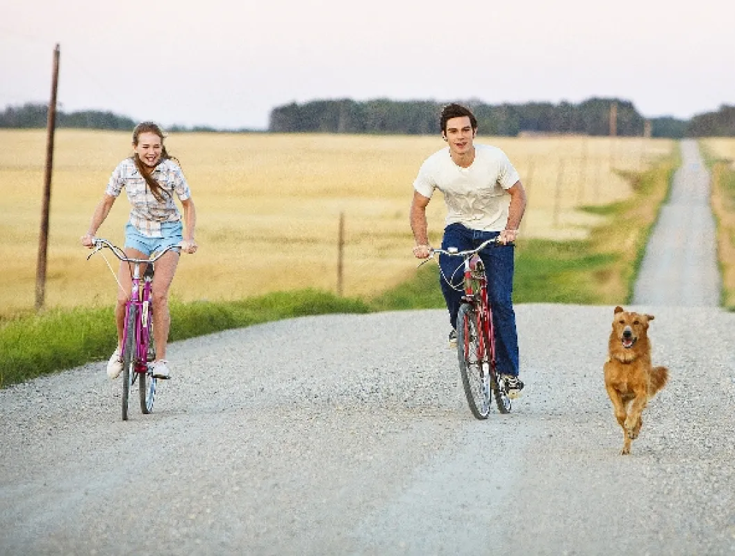 Psia duša (A Dog's Purpose), 2017 - fotogaléria