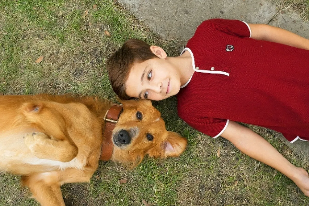 Psia duša (A Dog's Purpose), 2017 - fotogaléria