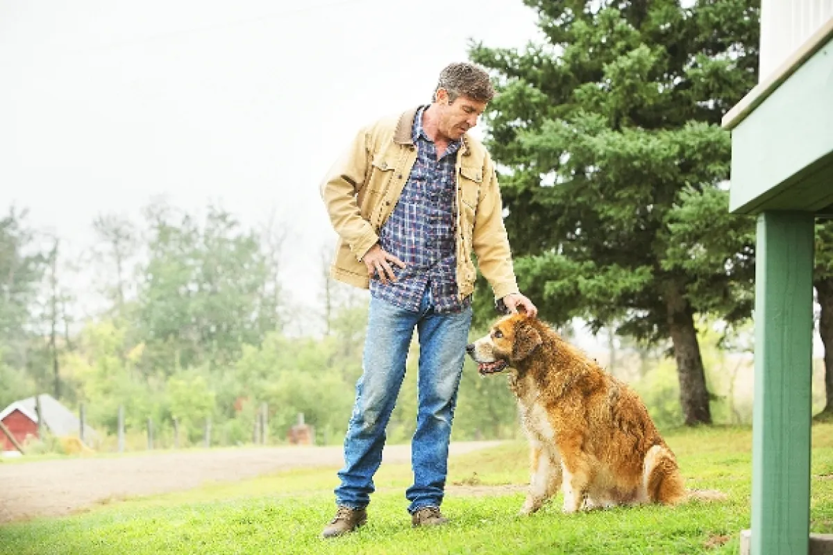 Psia duša (A Dog's Purpose), 2017 - fotogaléria