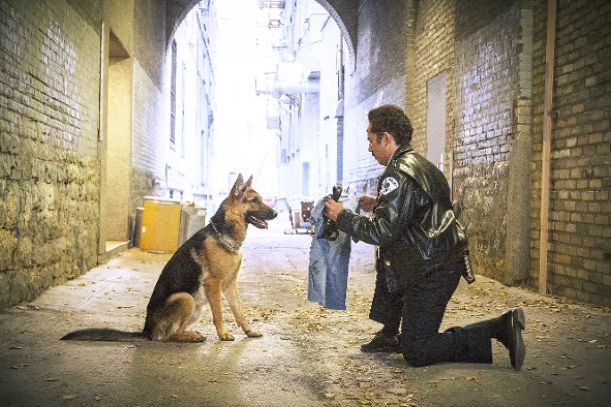 Psia duša (A Dog's Purpose), 2017 - fotogaléria