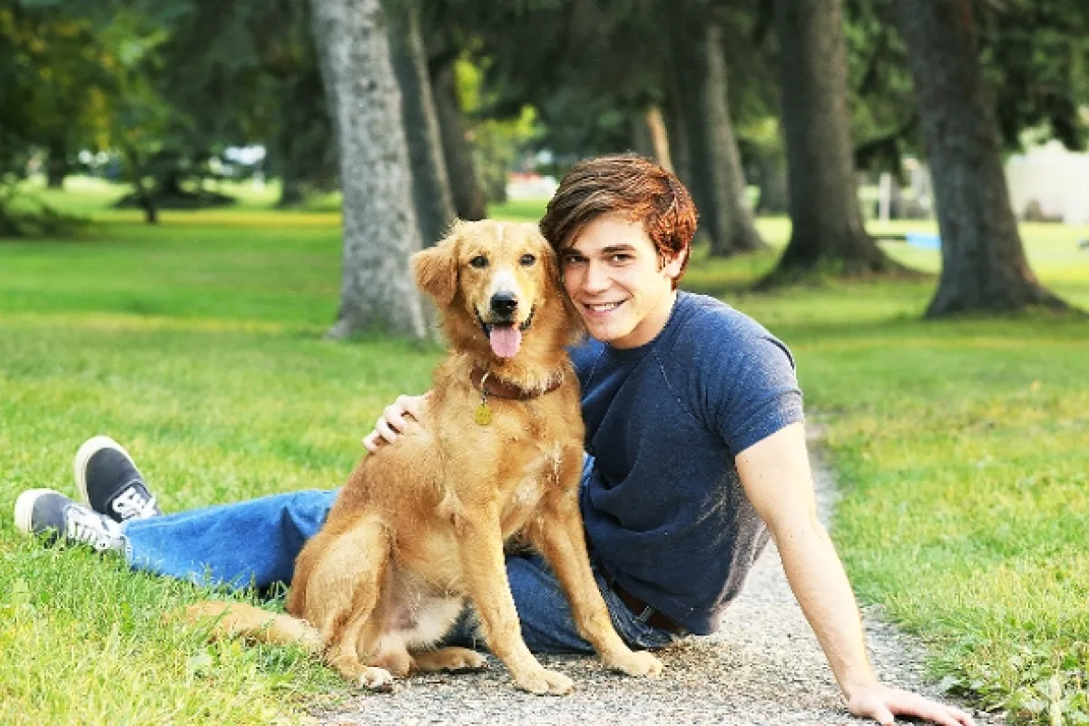 Psia duša (A Dog's Purpose), 2017 - fotogaléria