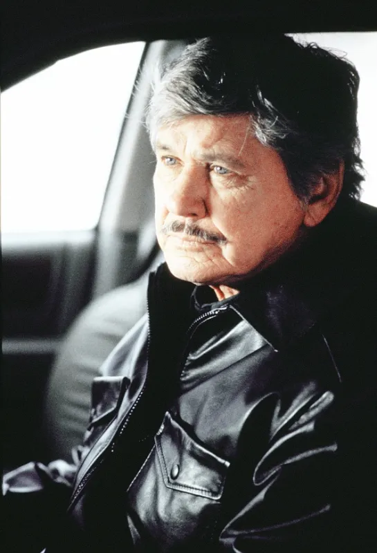 Prianie smrti 5 (Death Wish V: The Face of Death), 1994 - fotogaléria
