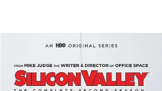 Silicon Valley II (10)
