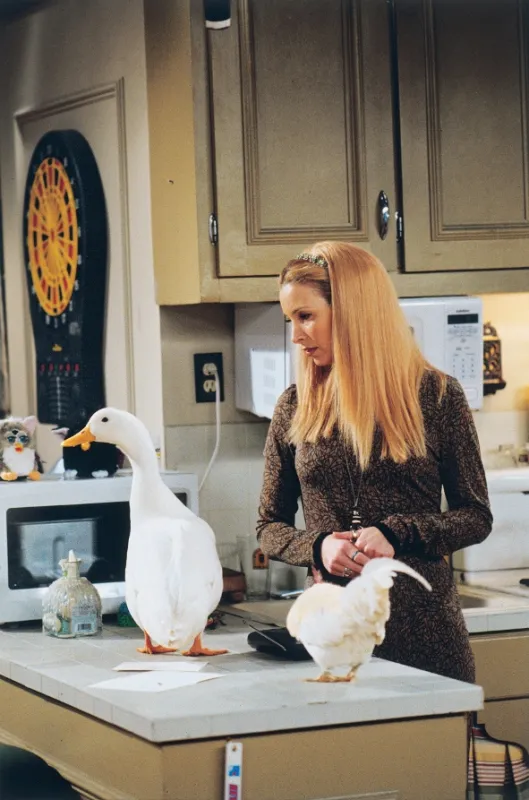 Přátelé (Friends V: The One Where Ross Moves In), 1998 - fotogaléria