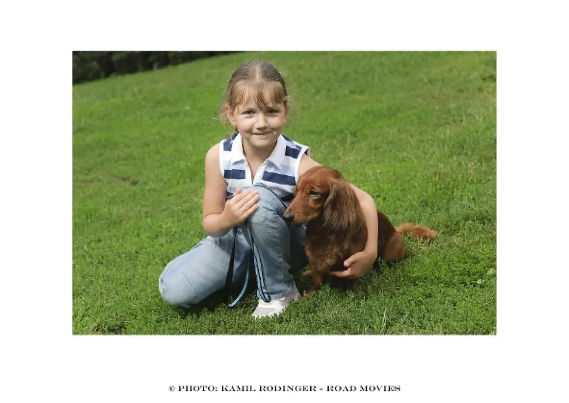 Tu strážim ja (Tady hlídám já), 2012 - fotogaléria