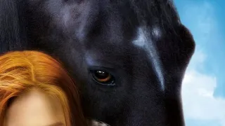 Vichr 2