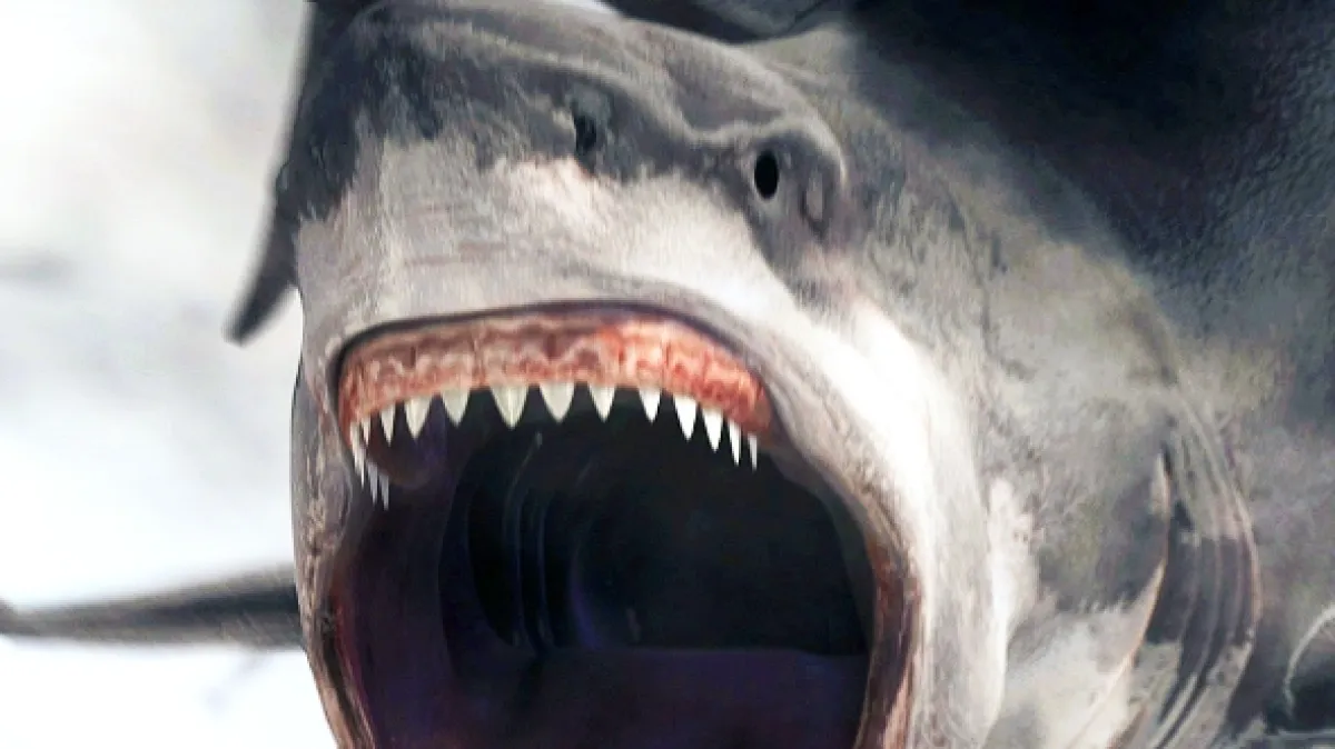 Žraločí tornádo 2 (Sharknado 2: The Second One), 2014 - fotogaléria