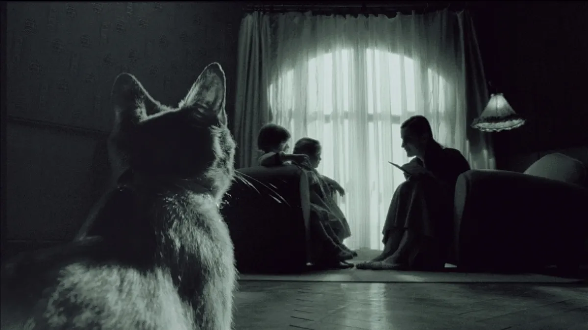 Amélie z Montmartru (Fabuleux destin d’Amélie Poulain, Le), 2001 - fotogaléria