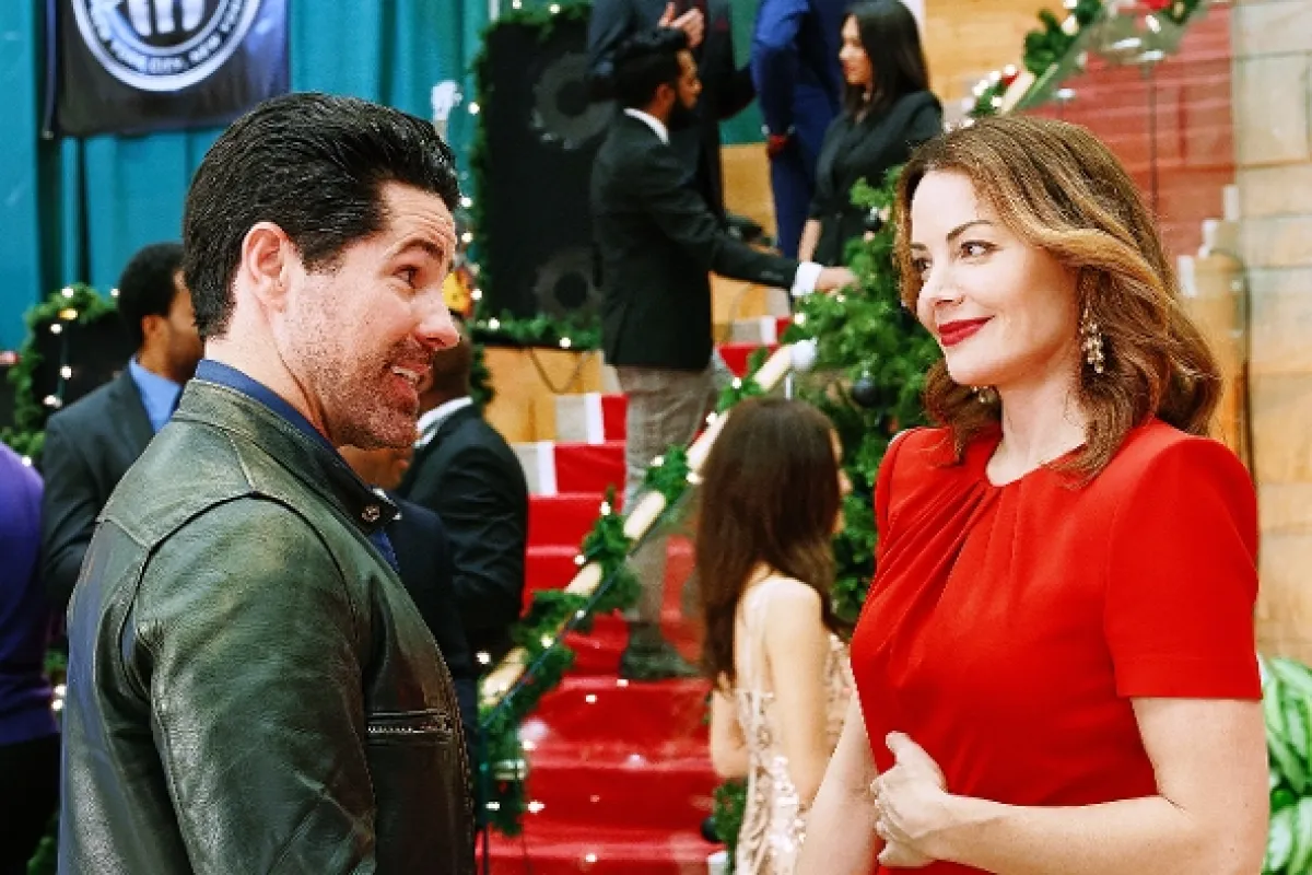 Vianočné hviezdy (Christmas Stars), 2019 - fotogaléria
