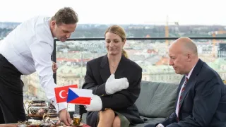 Ruky v záruke