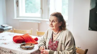 Střídavka