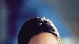 Dvanásť opíc