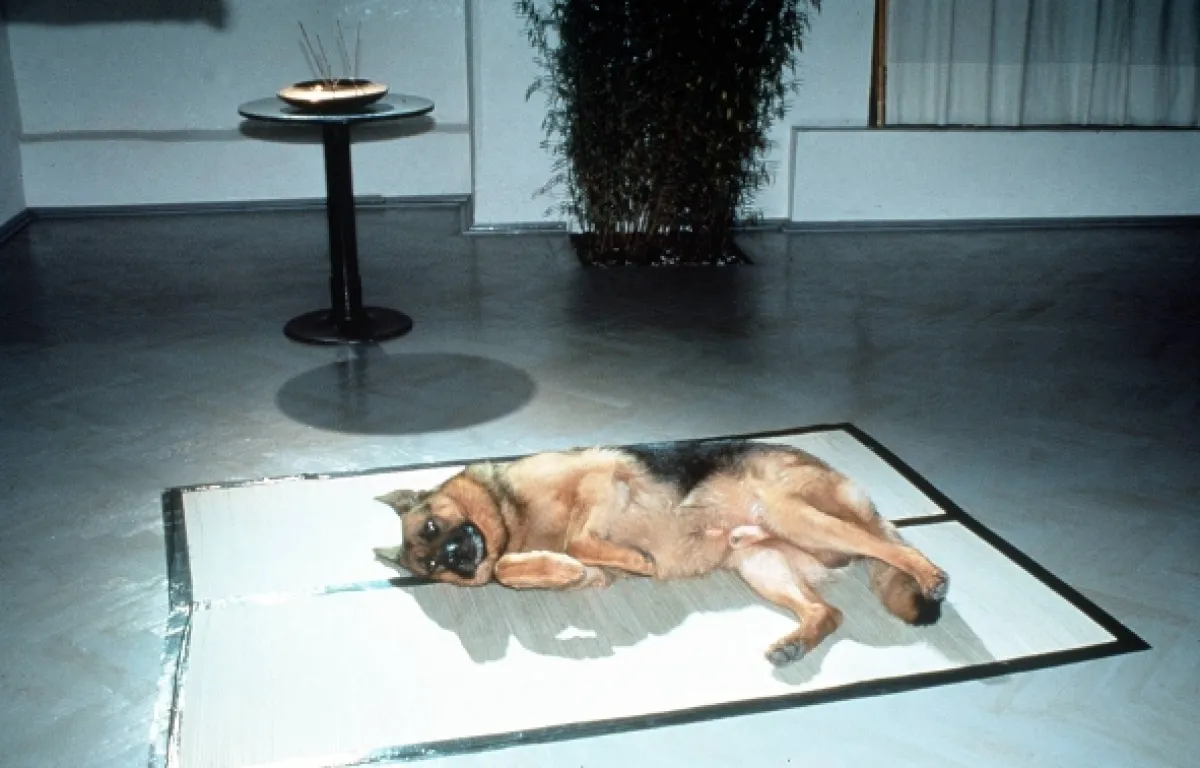 Rex felügyelő (Kommissar Rex V), 1999 - fotogaléria