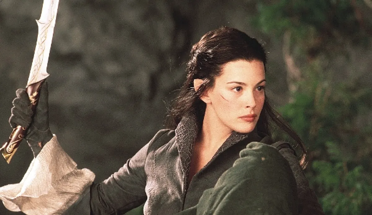 Pán prsteňov: Spoločenstvo prsteňa (The Lord of the Rings: The Fellowship of the Ring), 2001 - fotogaléria