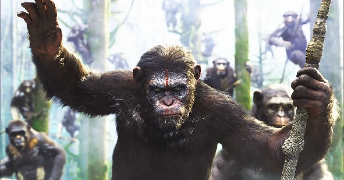 Úsvit planéty opíc (Dawn of the Planet of the Apes), 2014 - fotogaléria