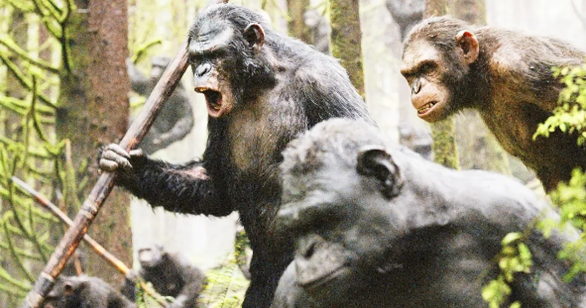 Úsvit planéty opíc (Dawn of the Planet of the Apes), 2014 - fotogaléria