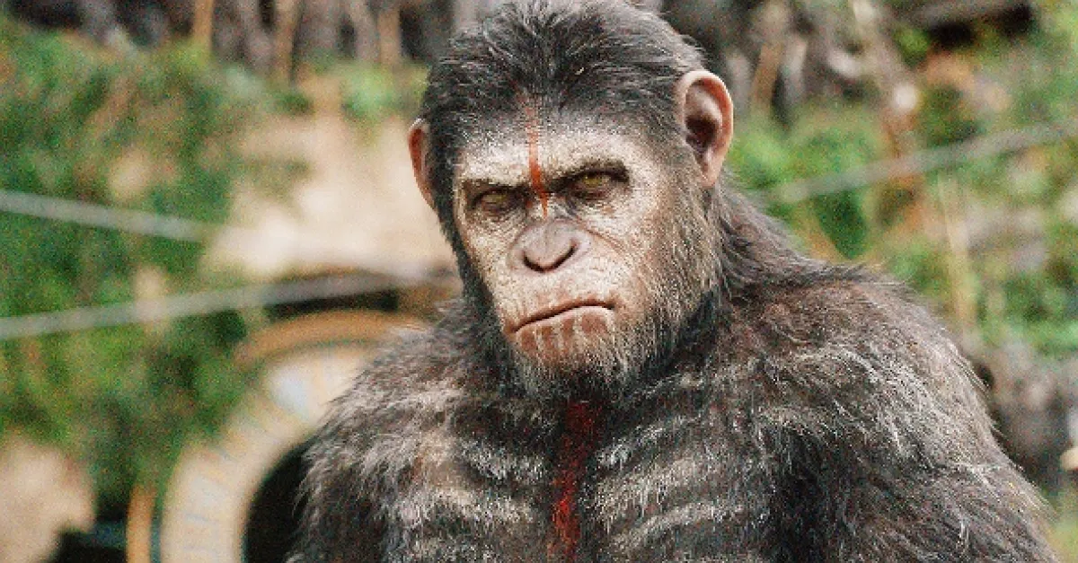 Úsvit planéty opíc (Dawn of the Planet of the Apes), 2014 - fotogaléria