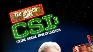 CSI: A helyszínelők XIII (7)