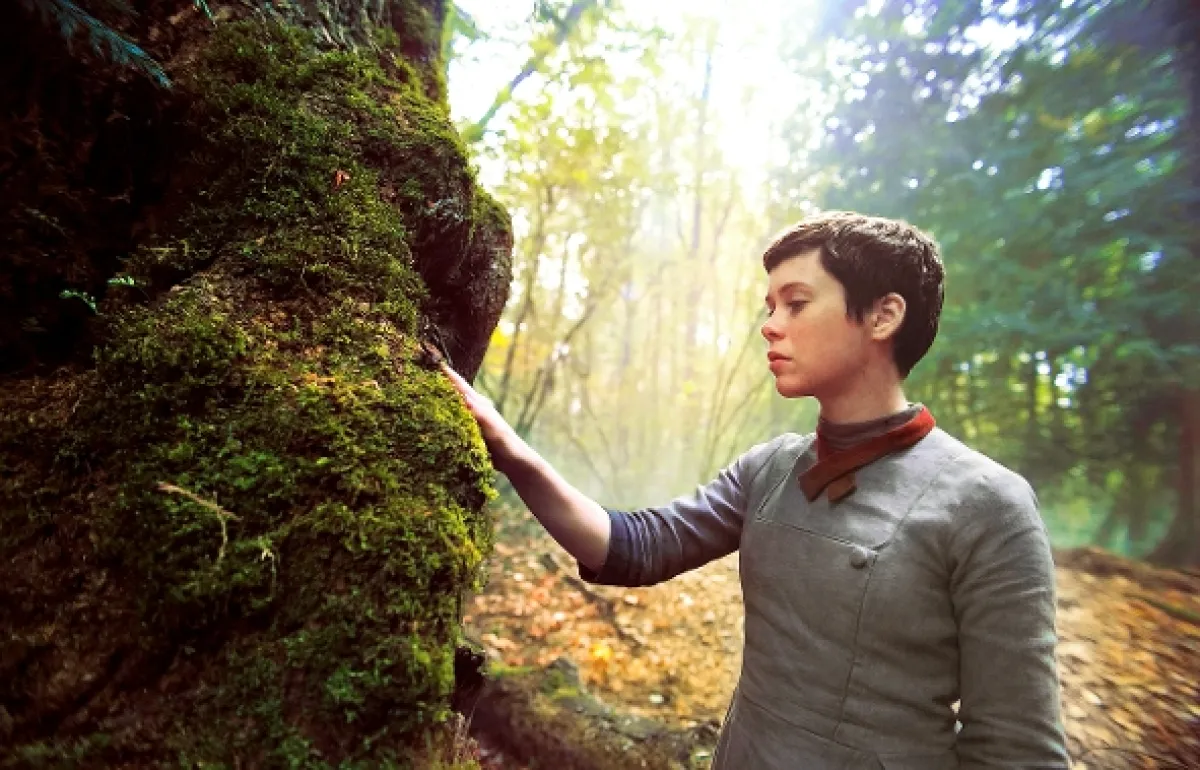 Mařenka a Jeníček v lese hrůzy (GRETEL AND HANSEL), 2020 - fotogaléria